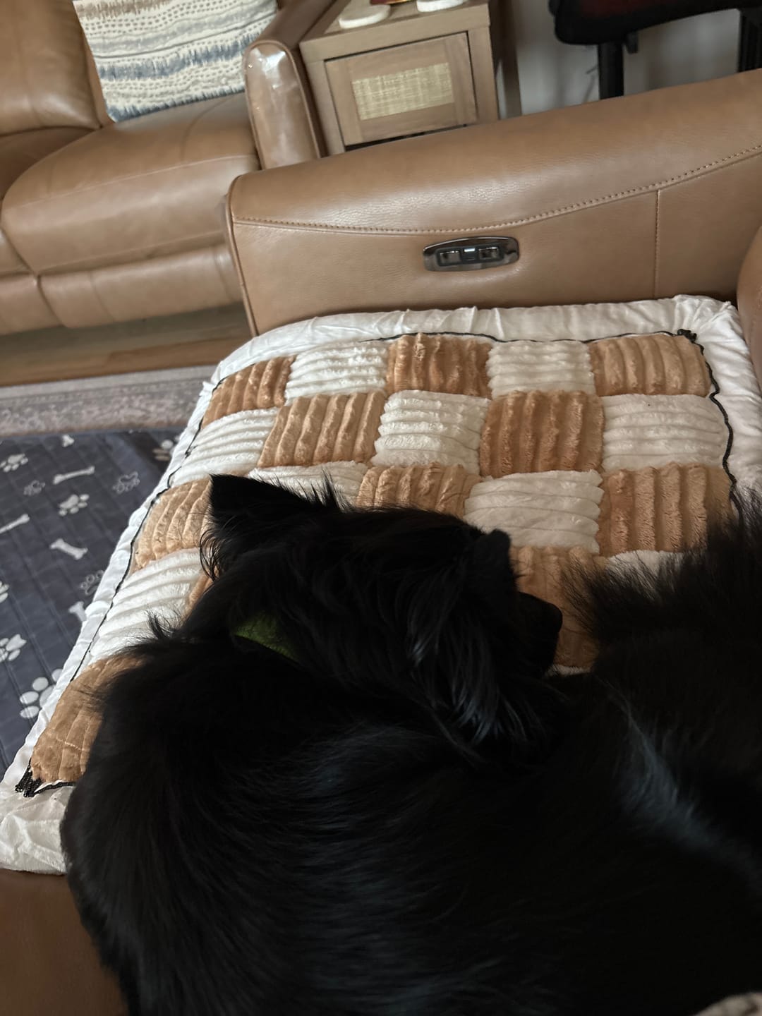 Customer photo review of NEW 2-in-1 Furniture Protector & Dog Bed Couch Cover with Thick Orthopedic Padding, Non-Slip Grip, Scratch-Resistant Surface & Machine-Washable Fabric