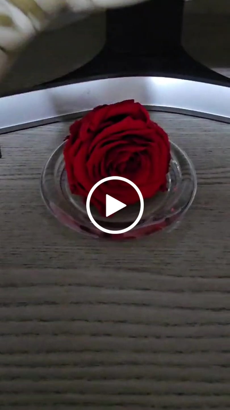 Customer video review of Rosa Eterna Monet's con Capelo