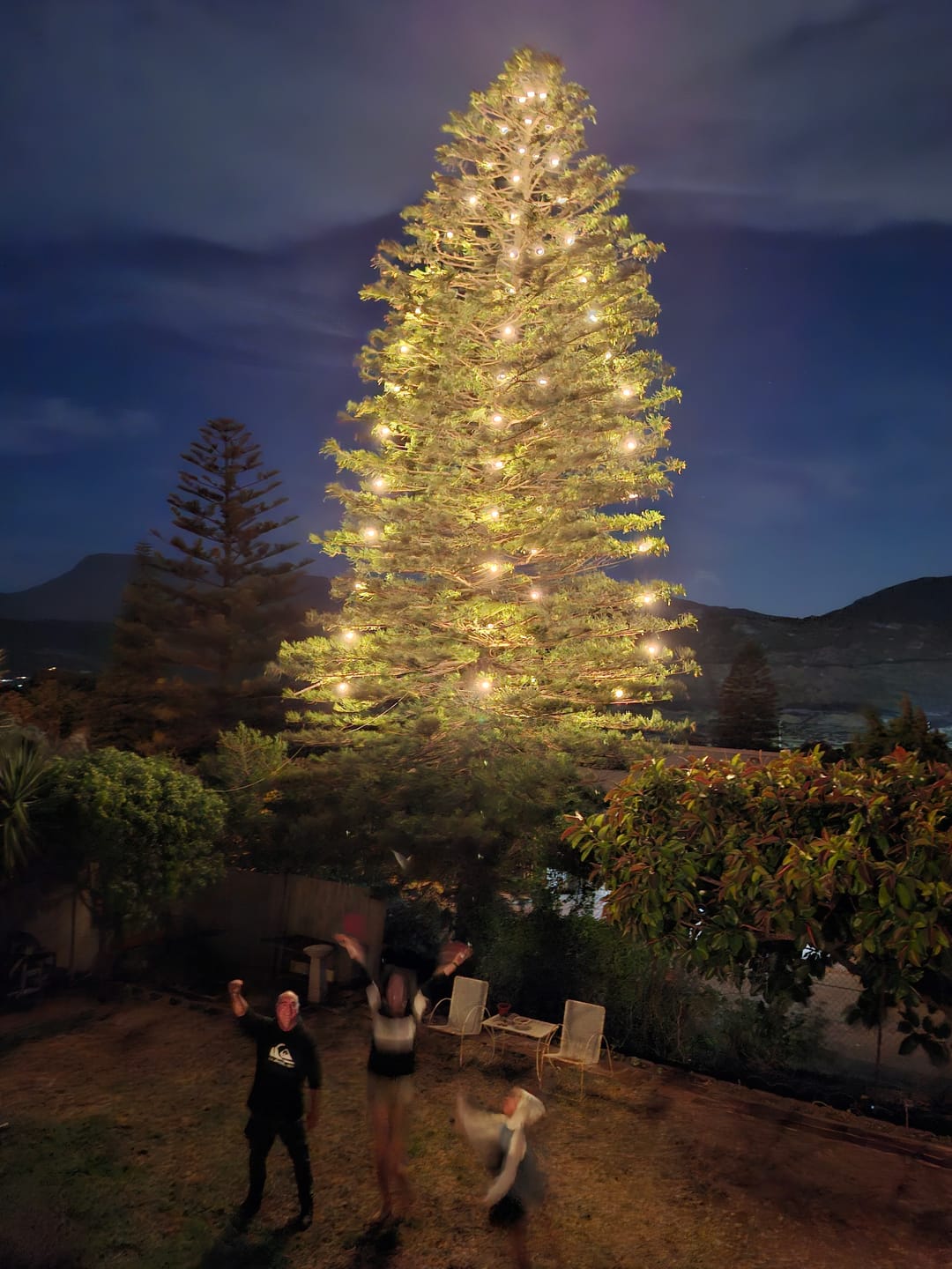Customer photo review of Plug-In Festoon Bulb String Lights
