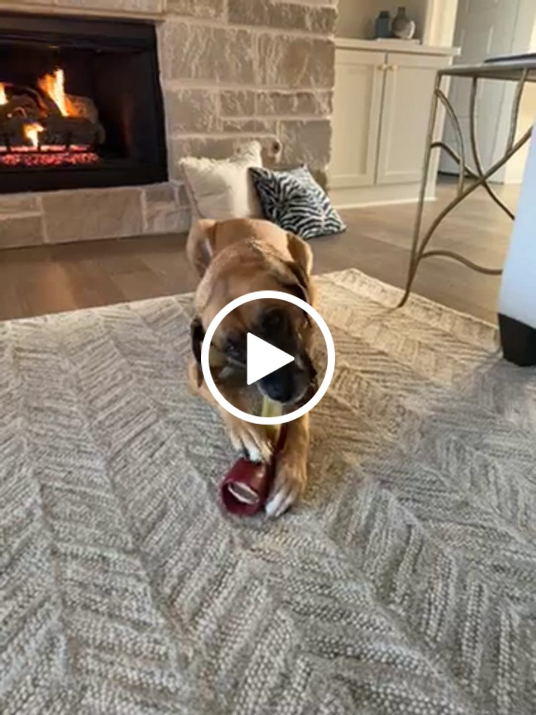 Customer video review of Himalayan Yak Chew (LARGE)