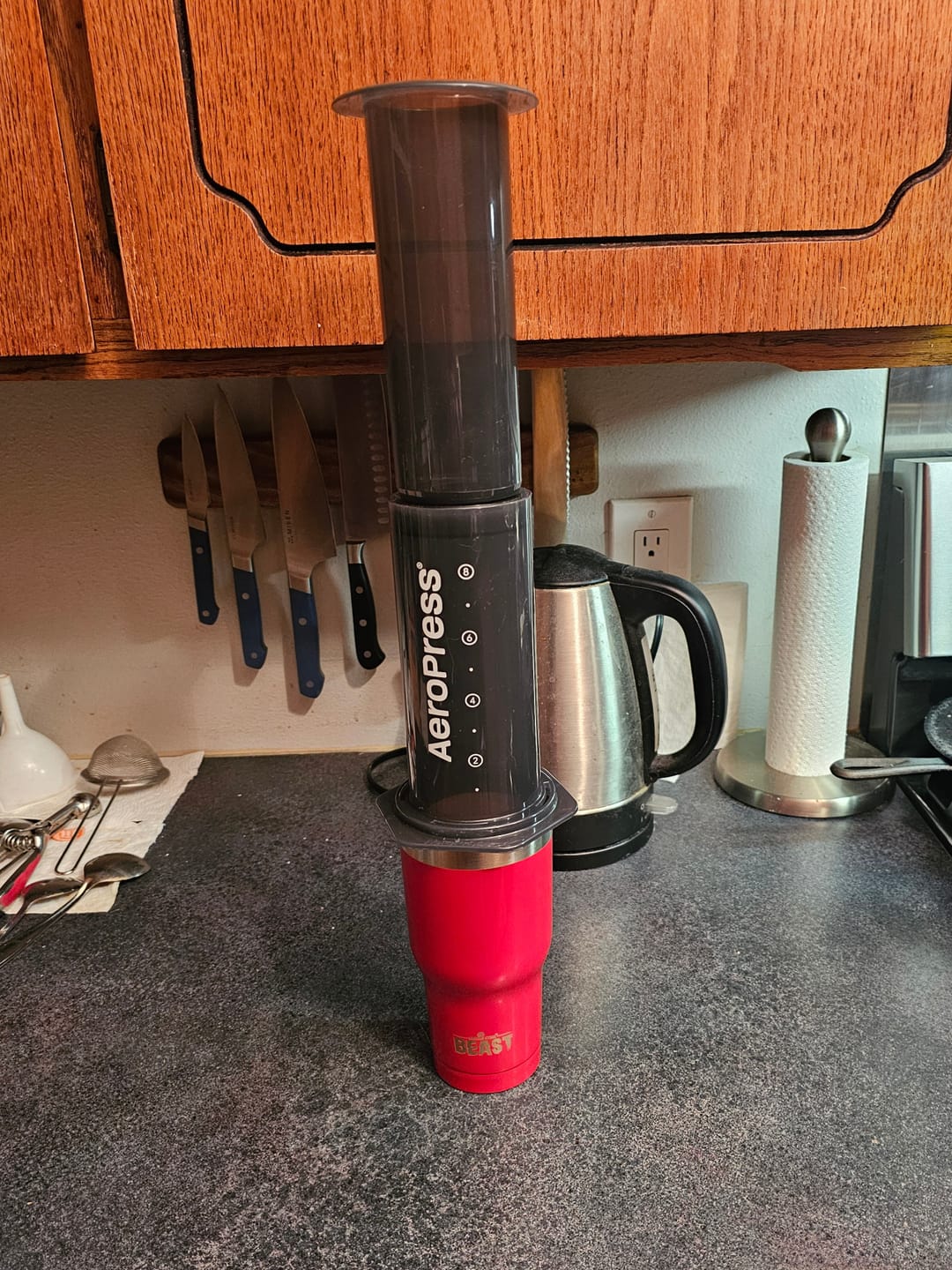 Customer photo review of BEAST Stainless Steel Double Wall Insulated