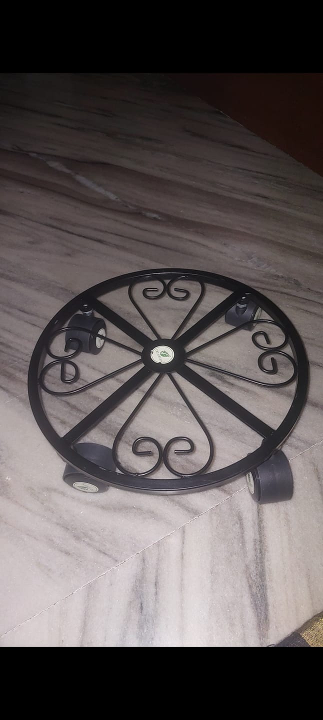 Customer photo review of TryGreen Luna Wheel Rolling Plant Stand for Planters