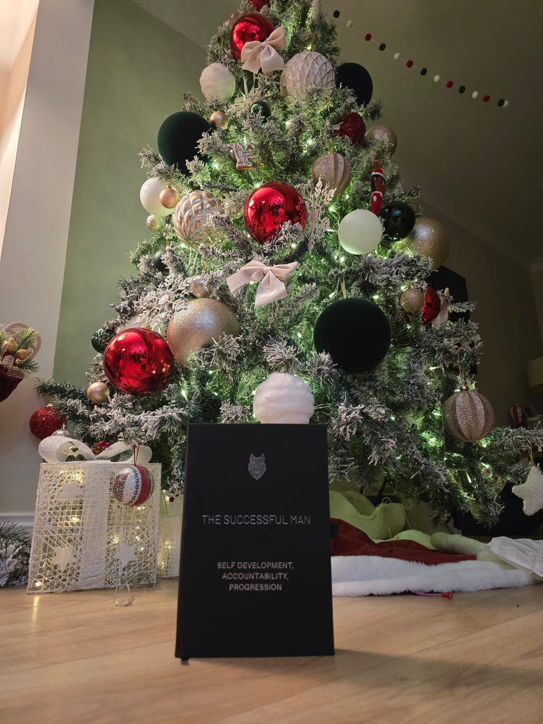 Customer photo review of The Successful Man