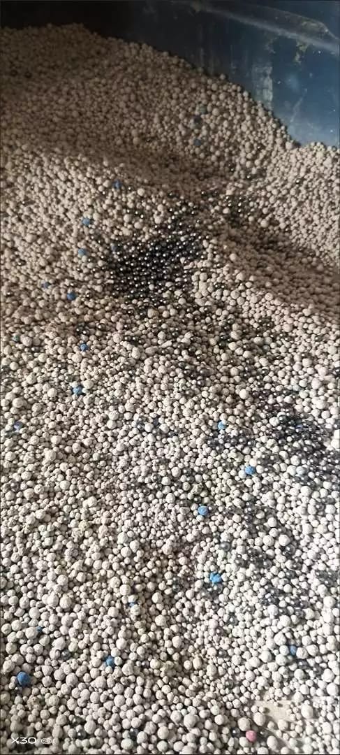 Customer photo review of FreshGuard | Plant-Based & Chemical-Free Odor Elimination