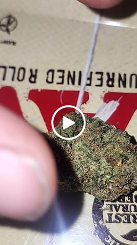 Customer video review of Lemon Cherry Gelato - 28 Grams - Hybrid