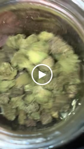 Customer video review of Shipping Protection by Route