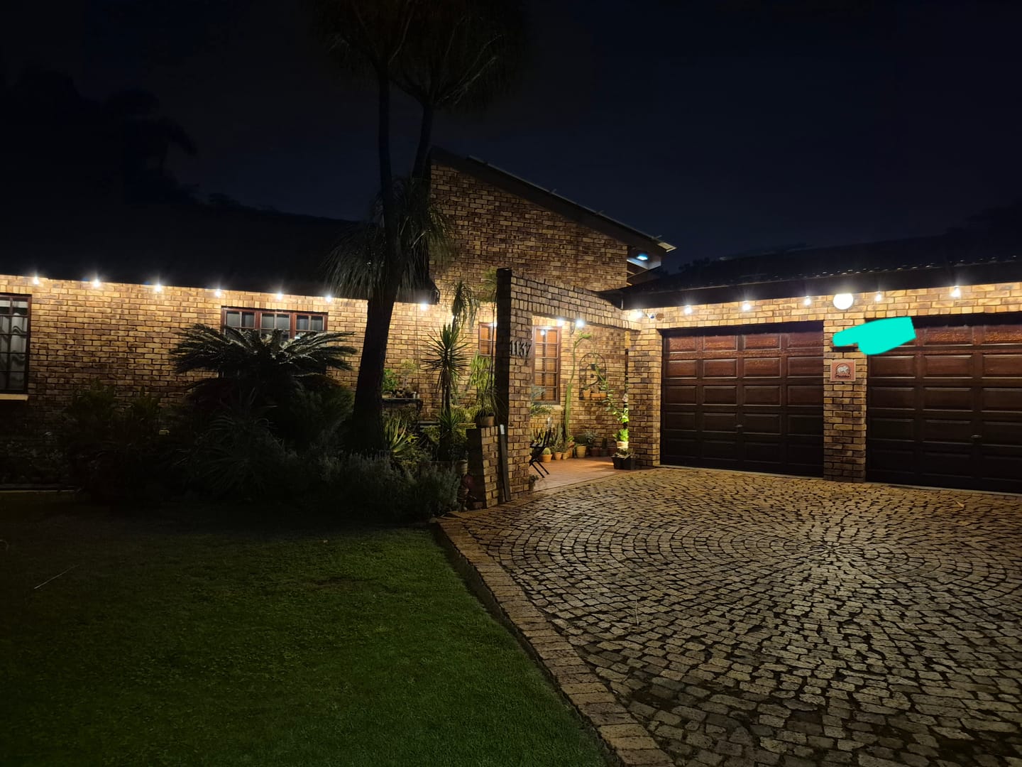 Customer photo review of Plug-In Festoon Bulb String Lights
