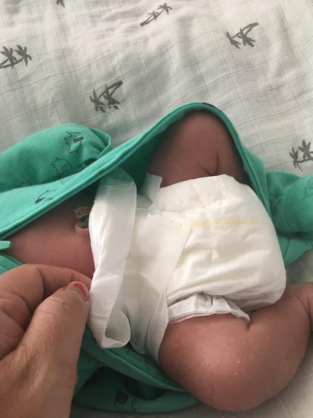 Customer photo review of Bamboo Diaper Trial Pack
