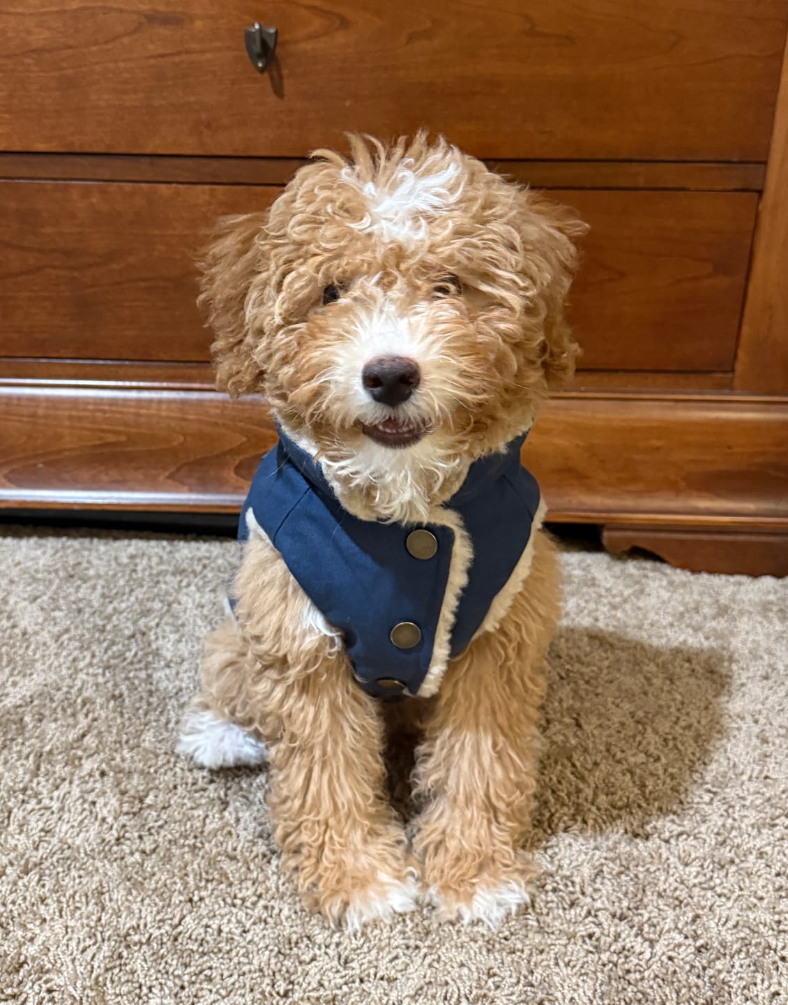 Customer photo review of Workdog Insulated Utility Jacket - Navy
