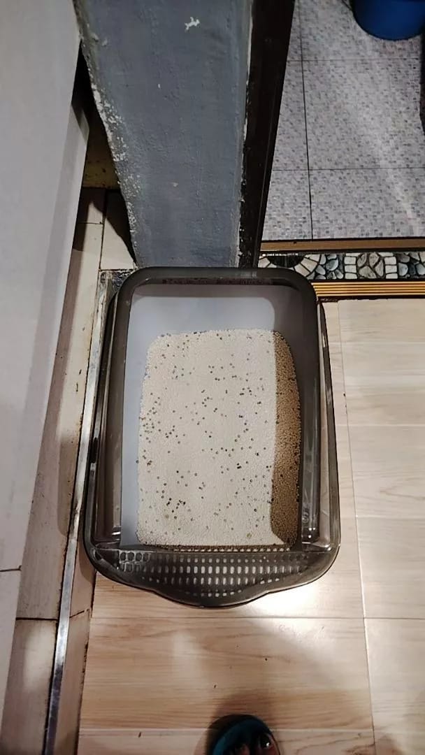 Customer photo review of FreshGuard | Plant-Based & Chemical-Free Odor Elimination