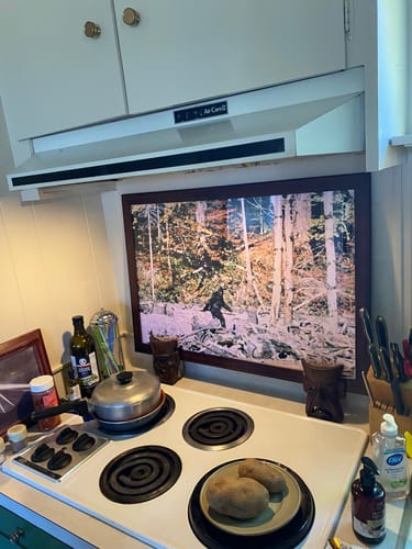 Customer photo review of Bigfoot