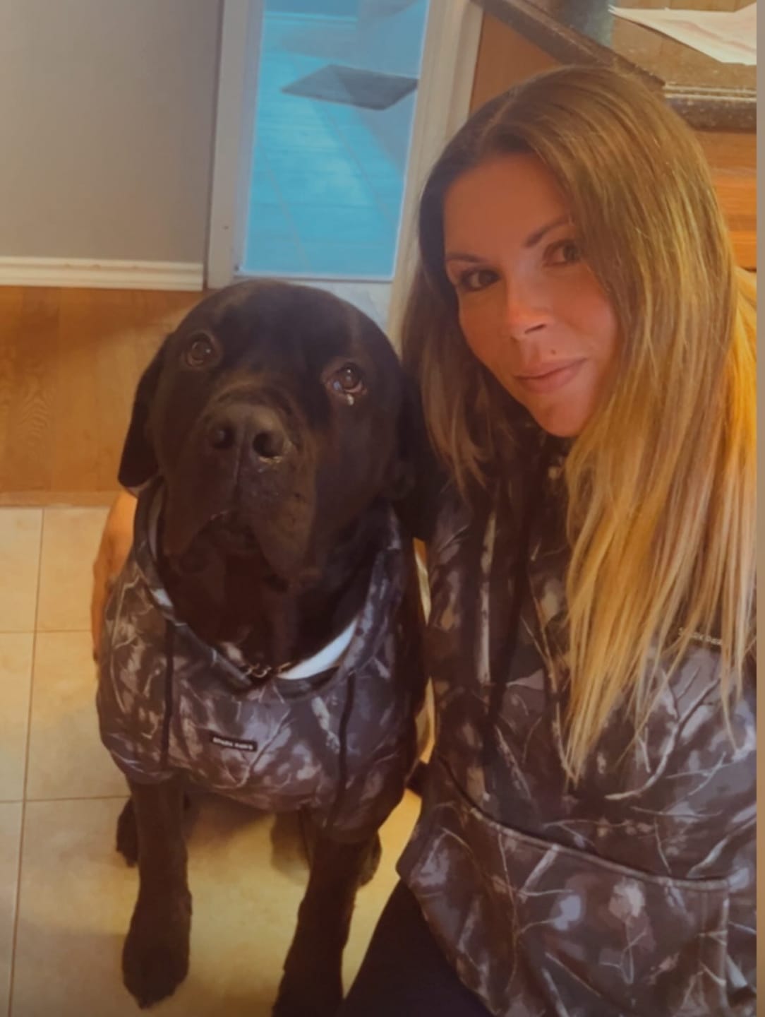 Customer photo review of Concrete Wood Dog Hoodie - Asphalt
