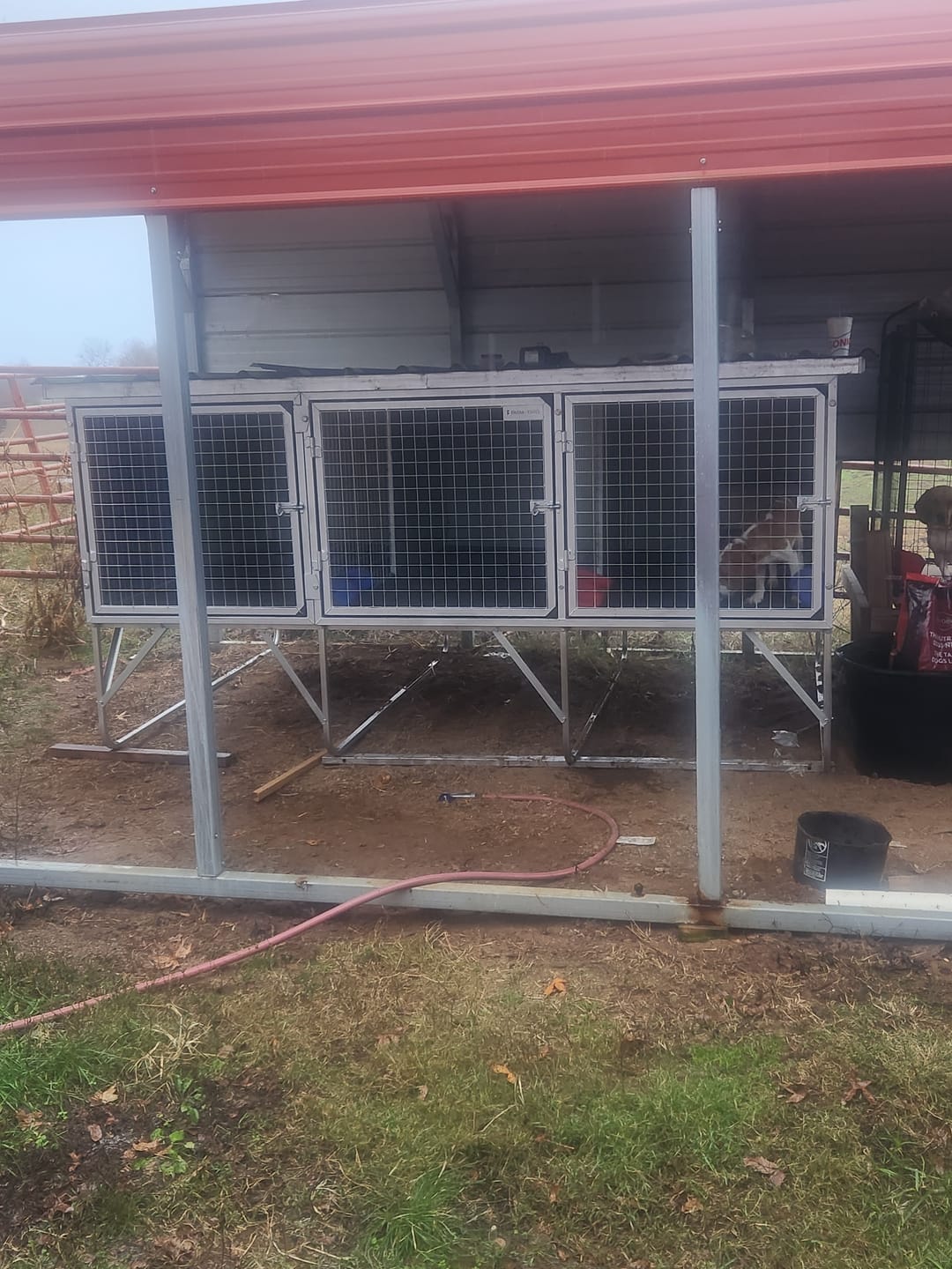 Customer photo review of Raised Safety Kennel