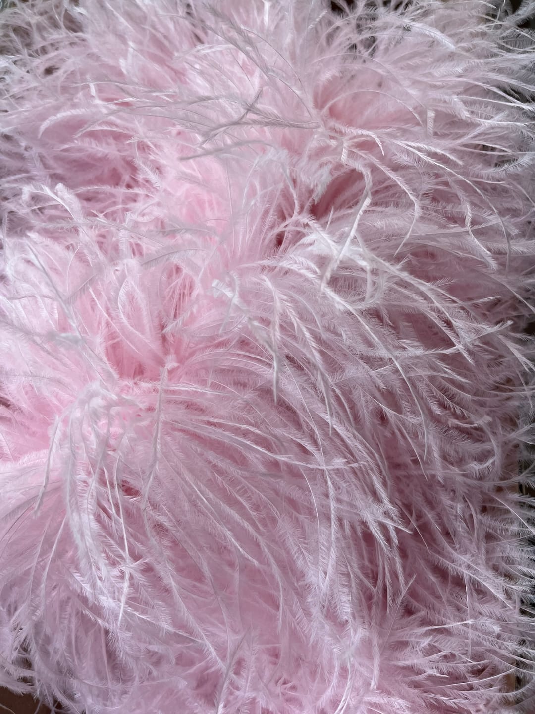 Customer photo review of Ostrich Feather Boa - 8Ply