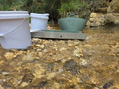 Customer photo review of 888 Gold Rat sluice - with Mini cell Dream mat