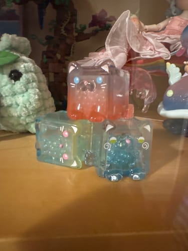 Customer photo review of Square Cat Series Blind Bag