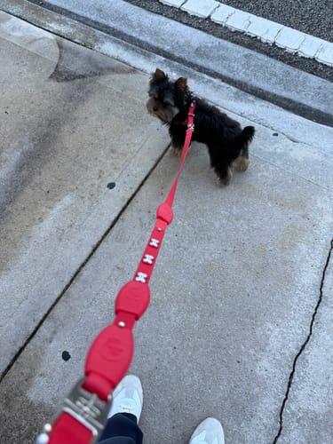 Customer photo review of Grip 360 Red