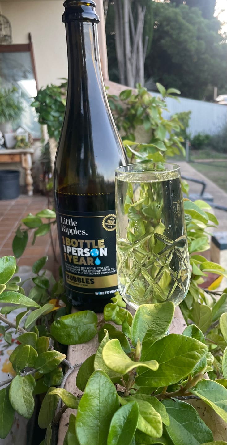 Customer photo review of Sparkling - Single Bottle