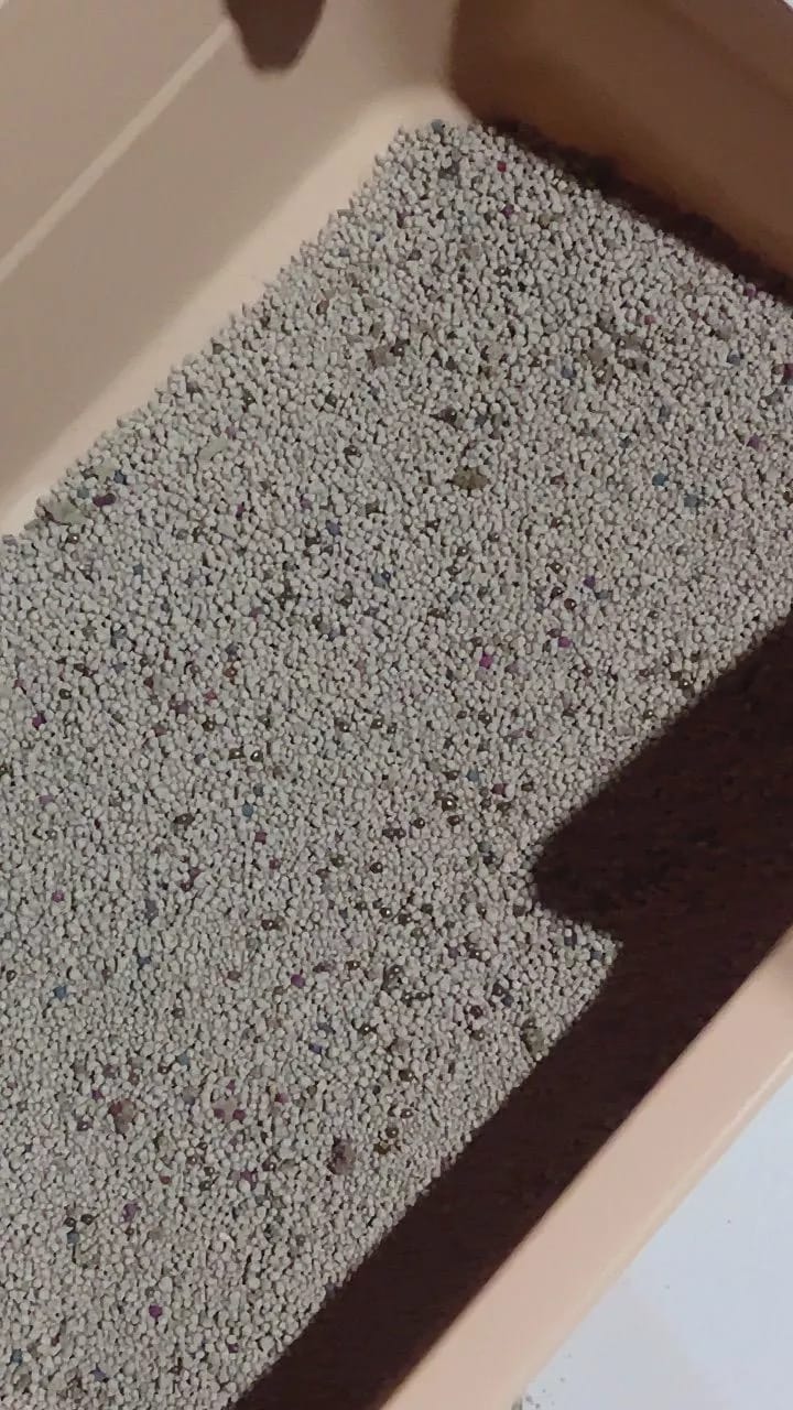Customer photo review of FreshGuard | Plant-Based & Chemical-Free Odor Elimination