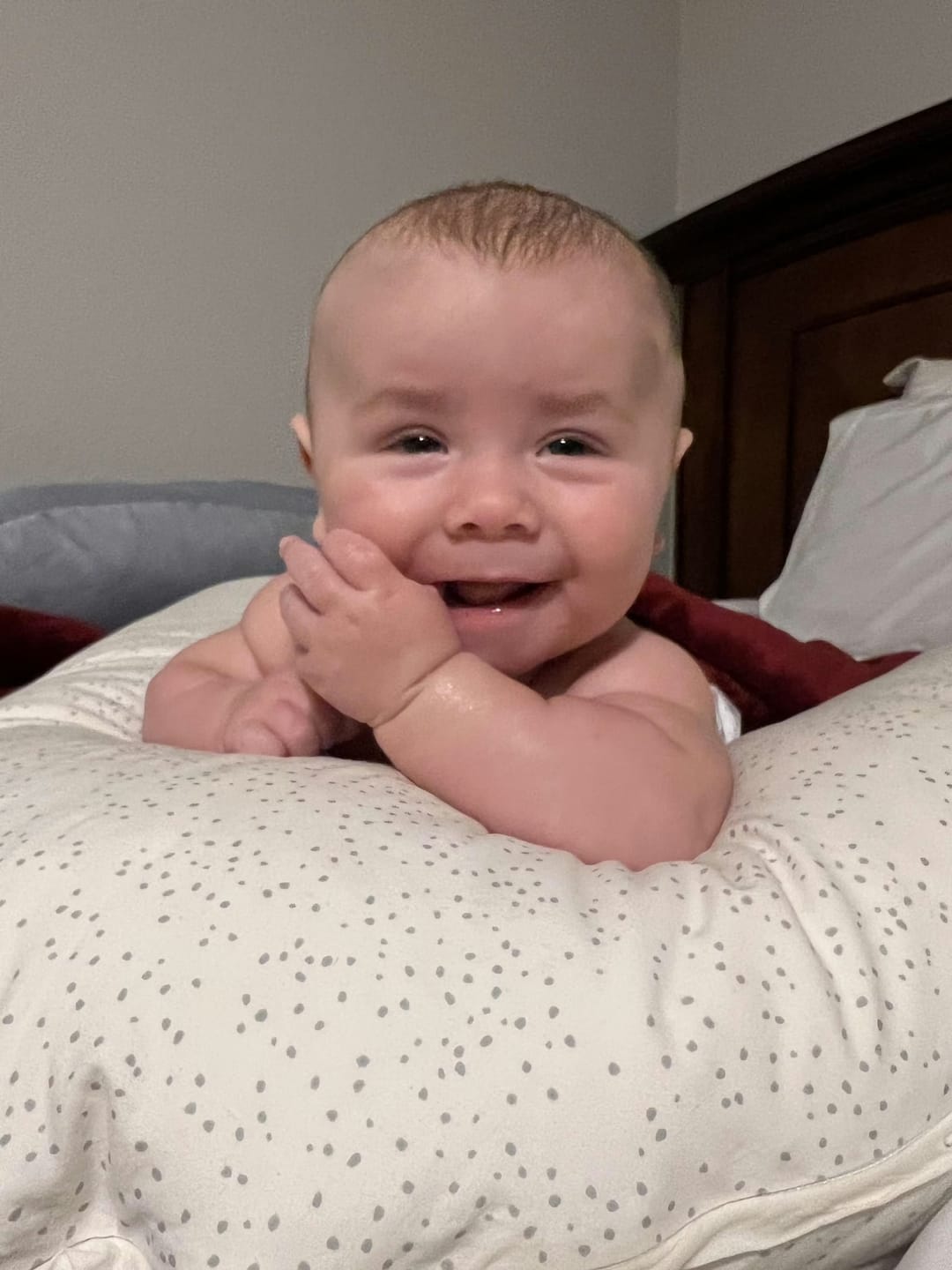 Customer photo review of HiPP Dutch Stage 1 Hypoallergenic (HA) Baby Formula 800g