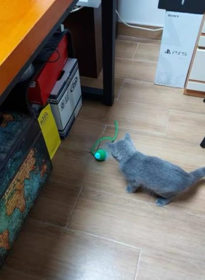 Customer photo review of Pelota interactiva inteligente
