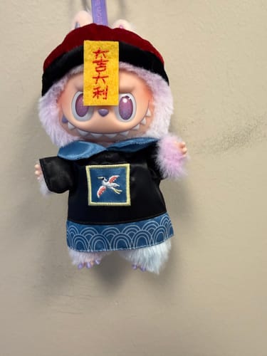 Customer photo review of labubu good luck baby clothes(no doll)