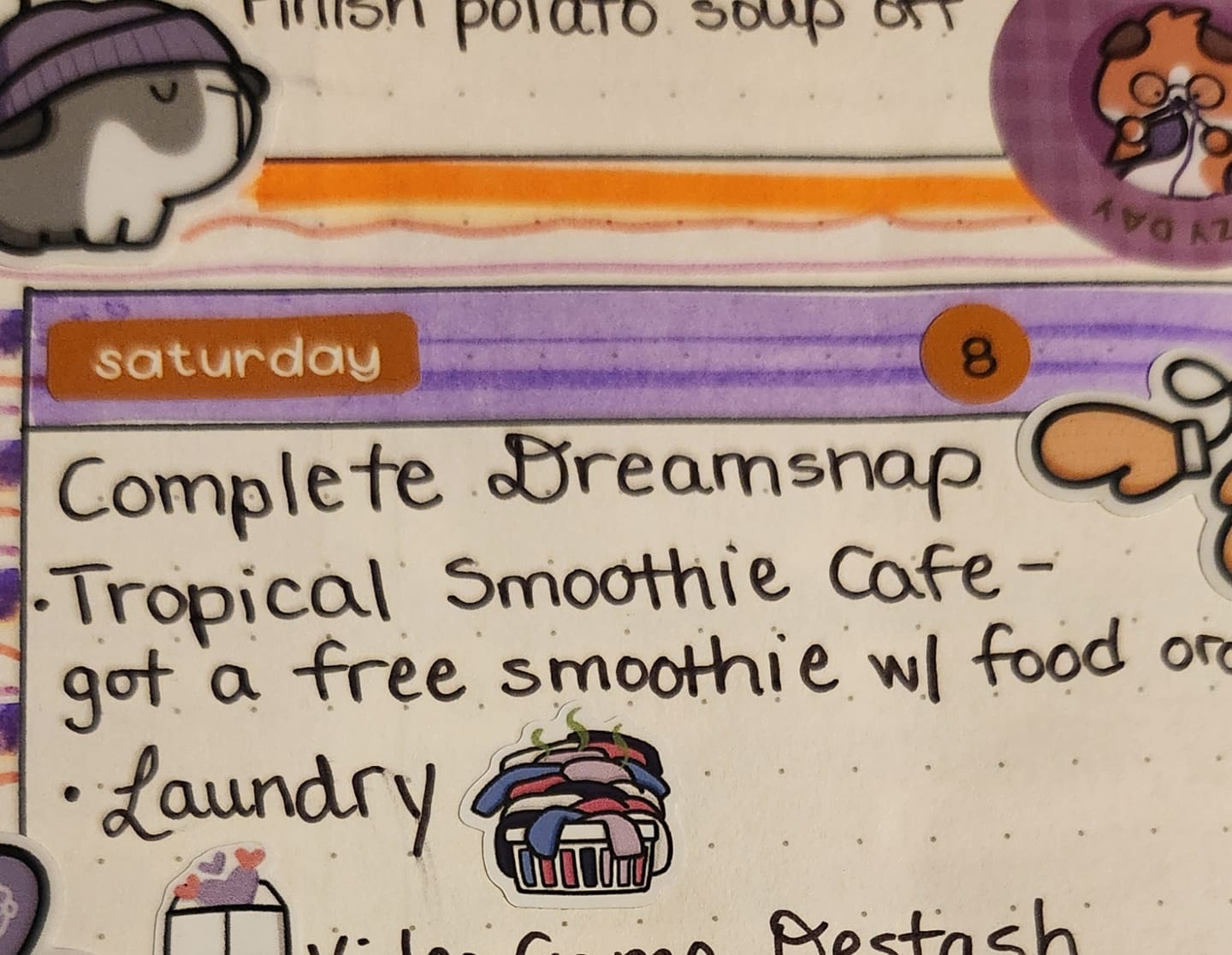 Customer photo review of Laundry Planner Stickers