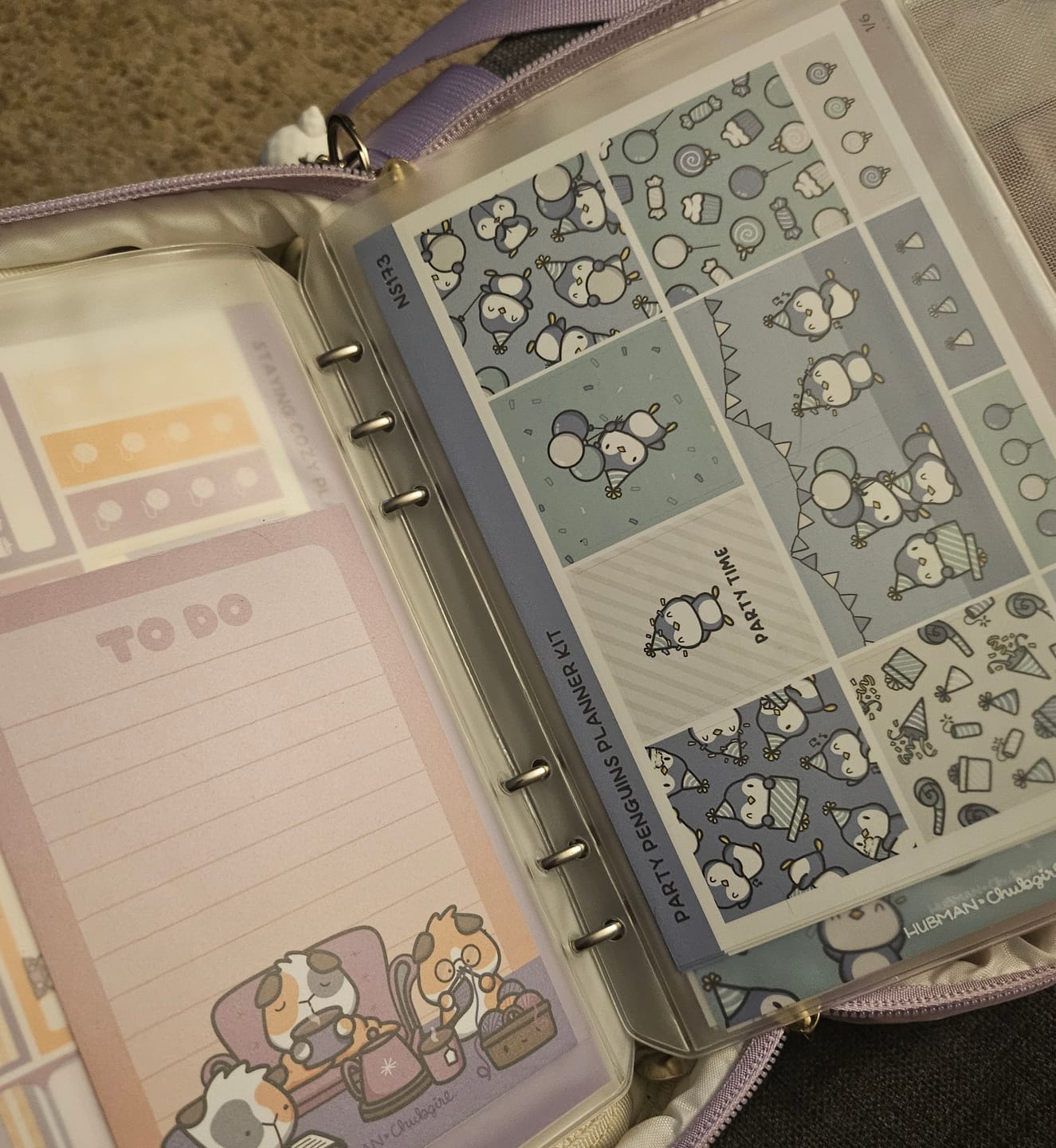 Customer photo review of Planner Subscription