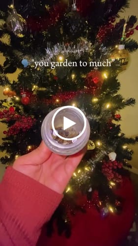 Customer video review of Flustered Cherry Gelato Prerolls(Galaxy Strongest)