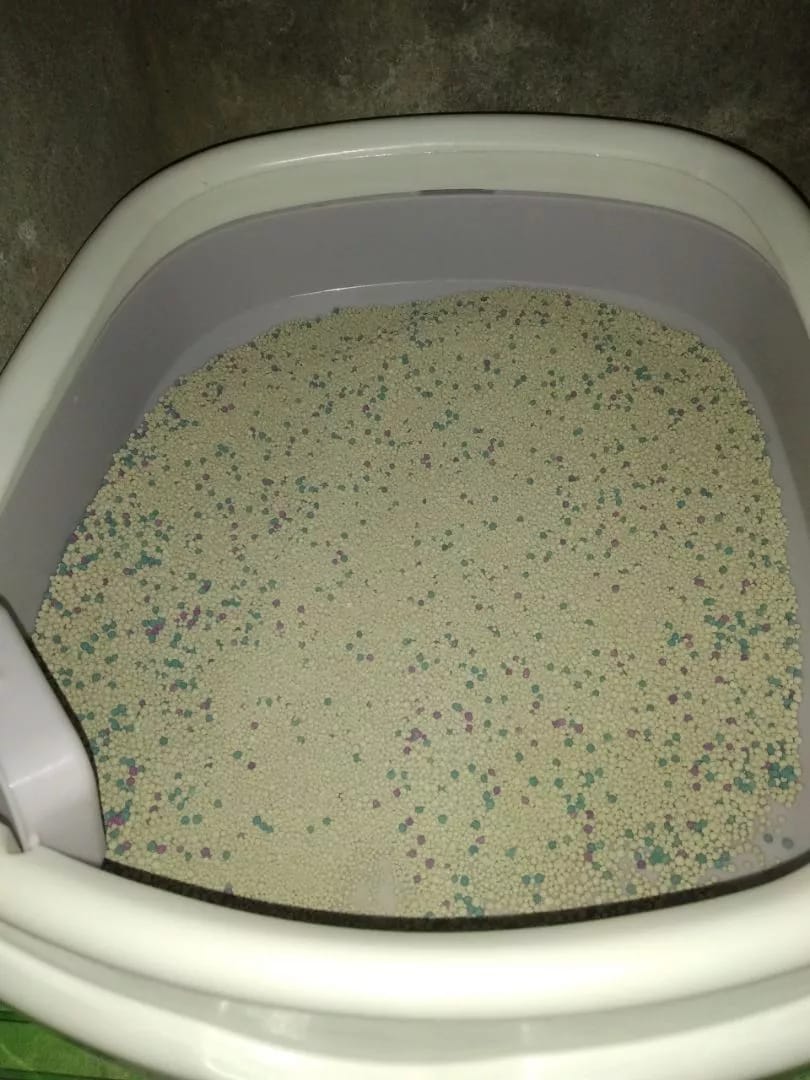 Customer photo review of FreshGuard | Plant-Based & Chemical-Free Odor Elimination