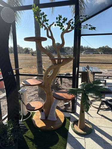 Customer photo review of Rustic Corner Wall Shelves – Natural Live Edge Wood Floating Shelf for Candles and Plants