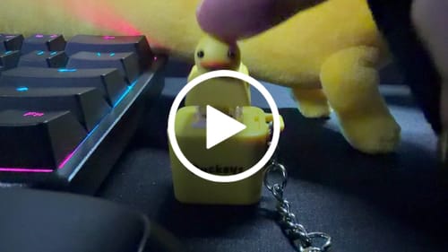 Customer video review of Quackey - Fidget Toy that Quacks!