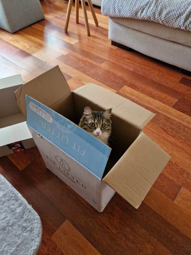 Customer photo review of Fit Litter PLUS - 3 month supply - 4 cat