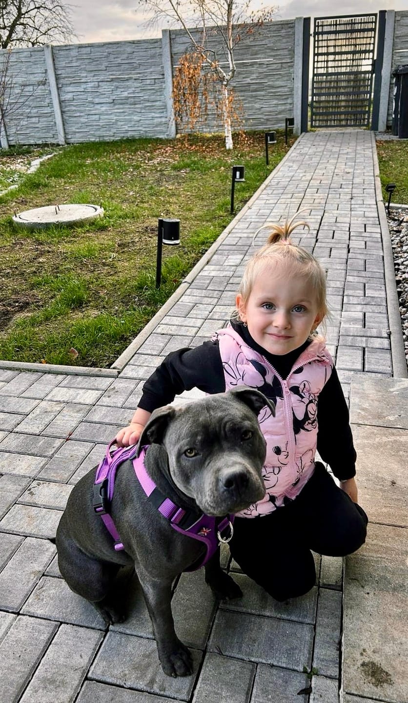 Customer photo review of Anti Pull Hurricane Harness Lighter | With Handle - Purple