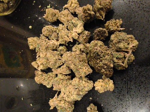 Customer photo review of Super Boof - Bulk - Hybrid