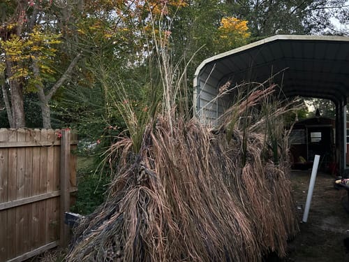 Customer photo review of Hunting Blind Raffia Grass (Pack)