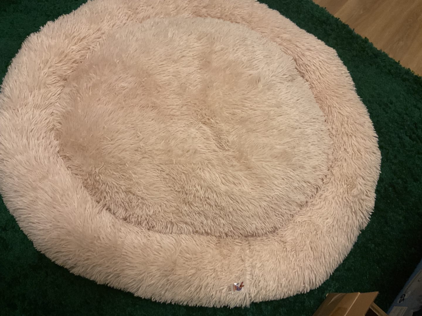 Customer photo review of Pet Perfect Fluffy Donut Hondenmand - Rond - Wasbaar