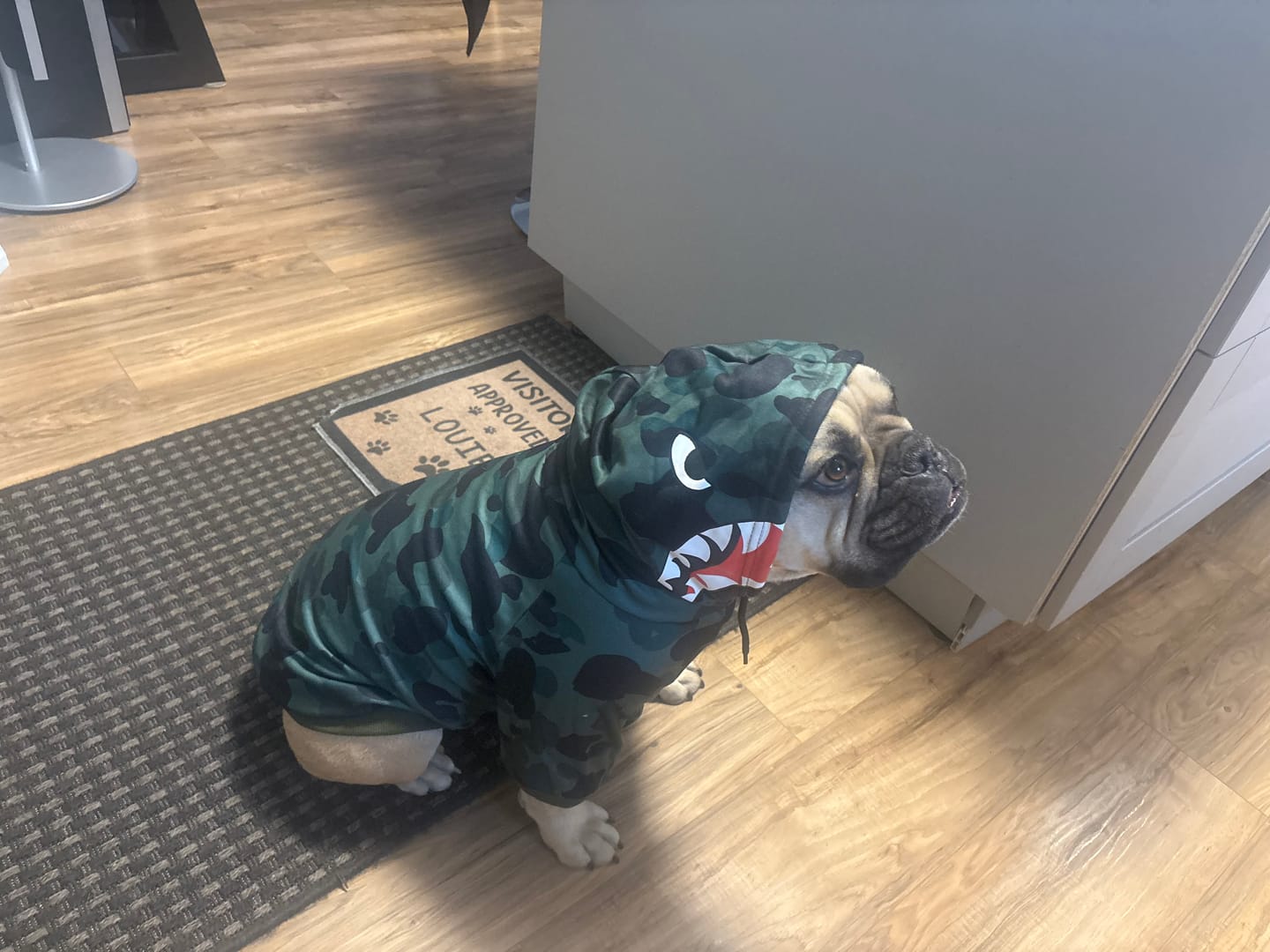 Customer photo review of Shark Monster Dog Hoodie - Green Camo