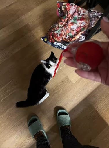 Customer photo review of Pelota interactiva inteligente