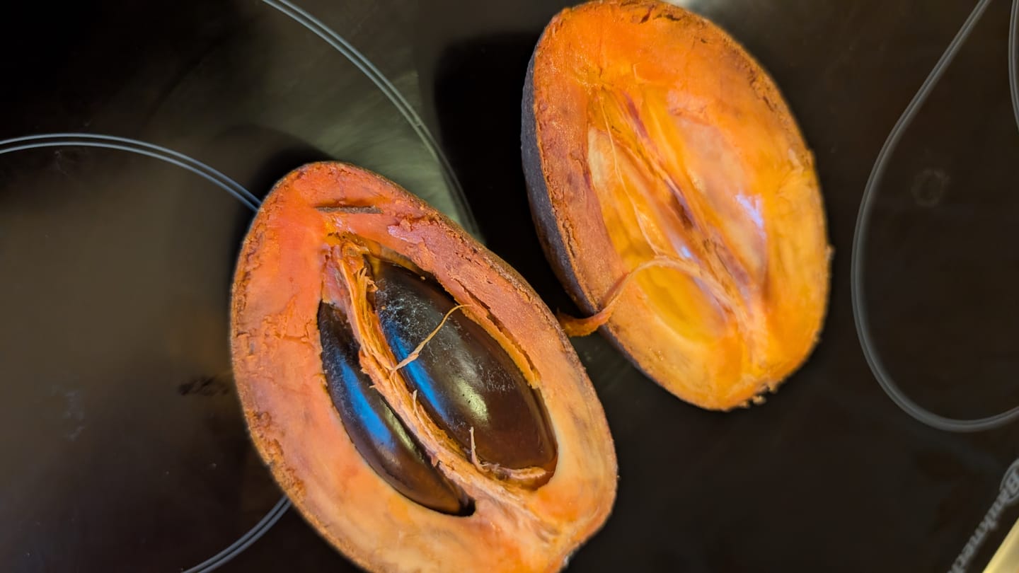 Customer photo review of Sapote Purple (Zapote Morado)