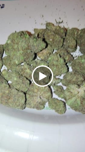Customer video review of Greenhouse THCa Flower