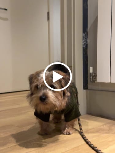 Customer video review of Forest | The Capsule Cable Knit