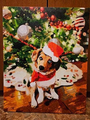 Customer photo review of Custom Paint By Numbers Kit