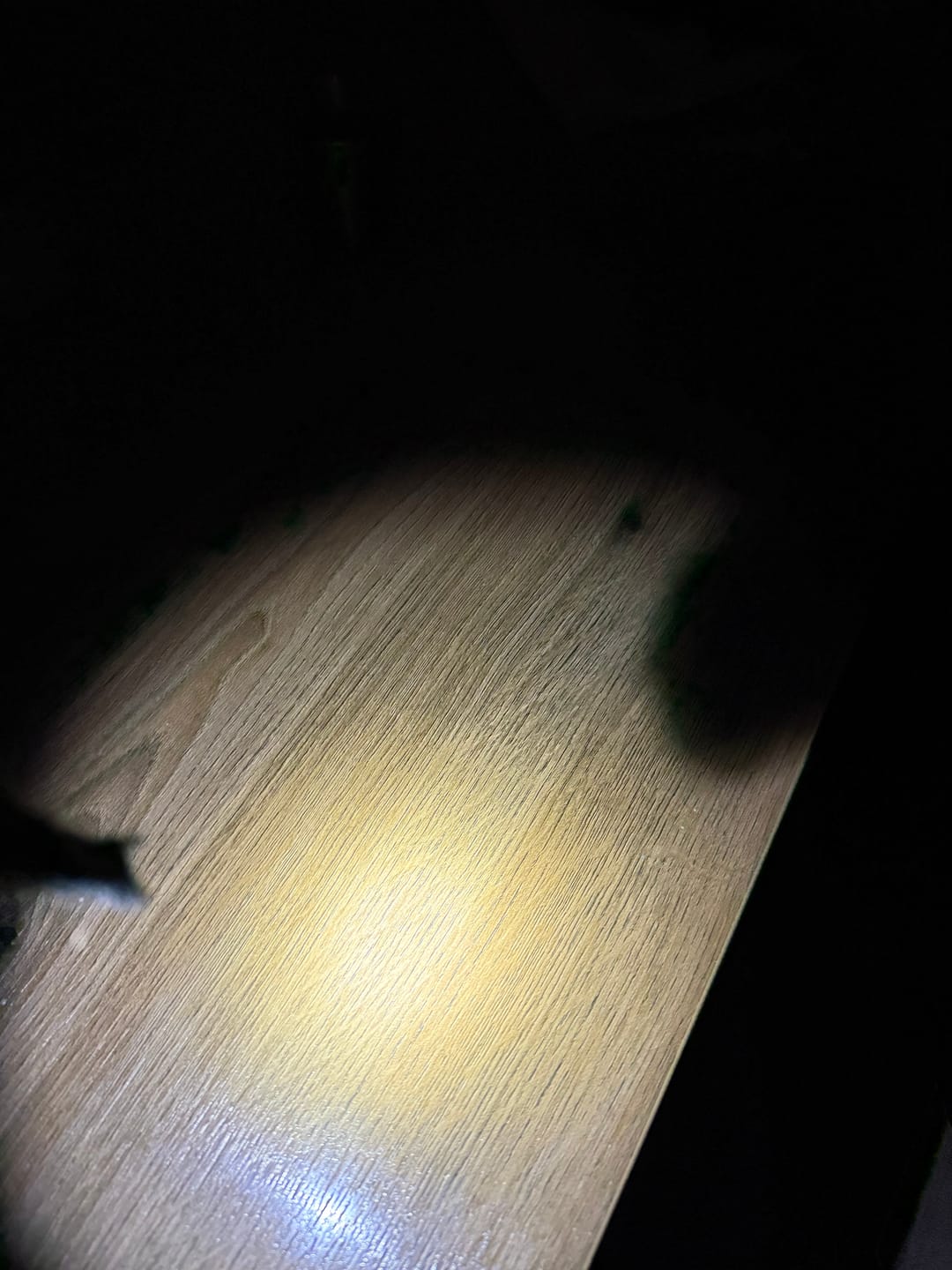 Customer photo review of Fenix T6 - Stylo Lampe de poche