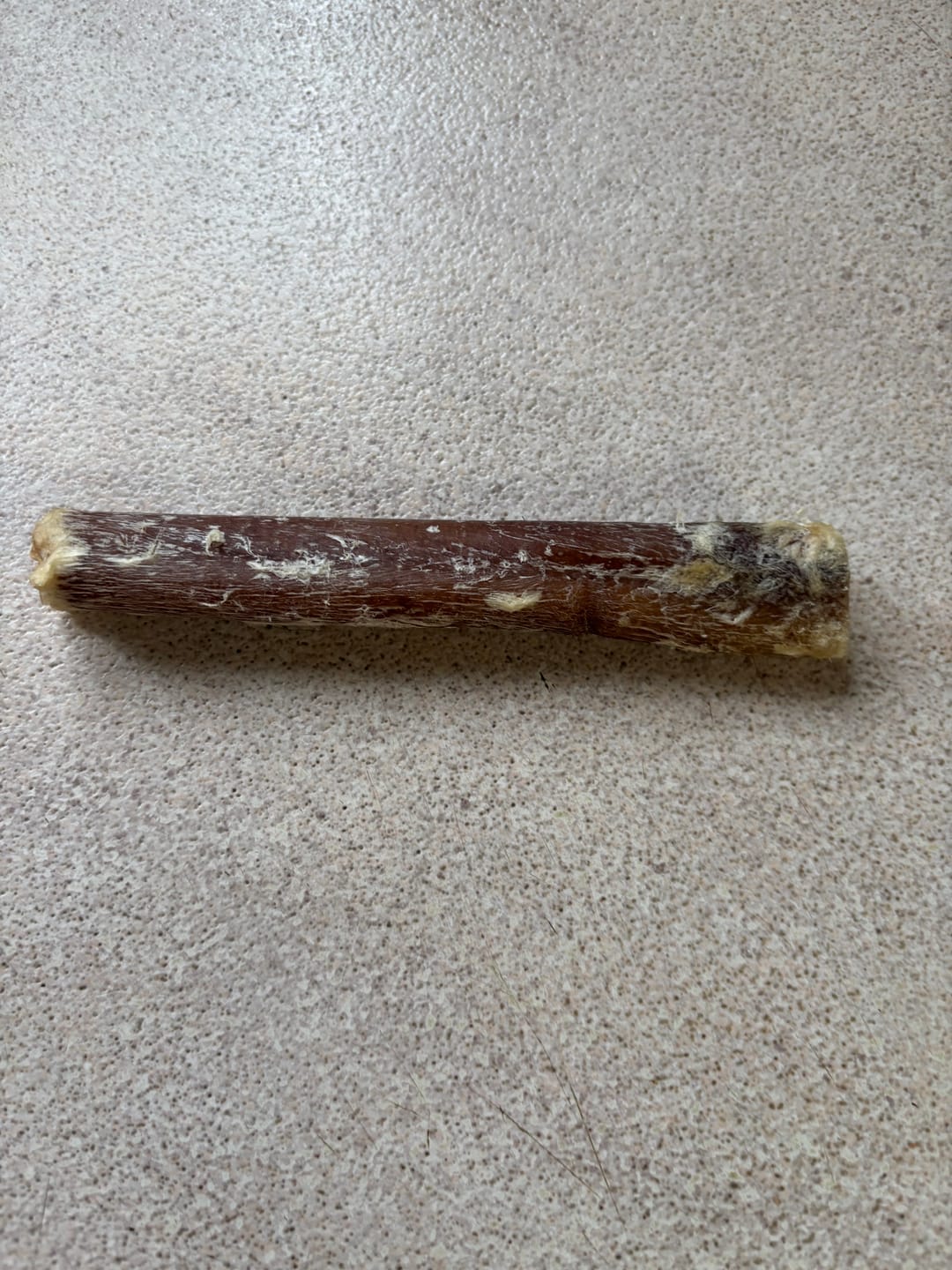 Customer photo review of Vrac Nature's Own - Bully Sticks de boeuf mastication pour chien