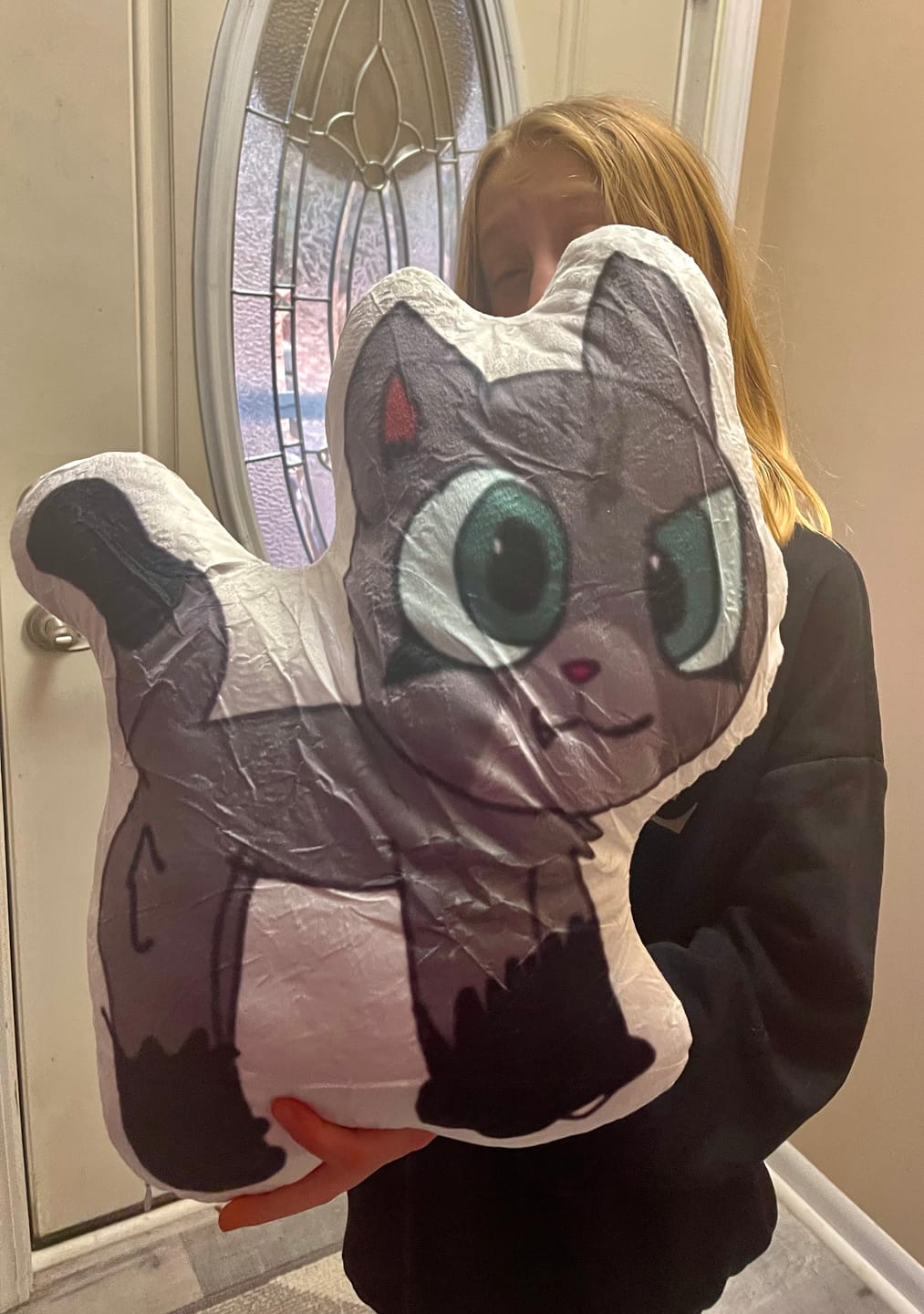 Customer photo review of Turn Drawing into Pillows