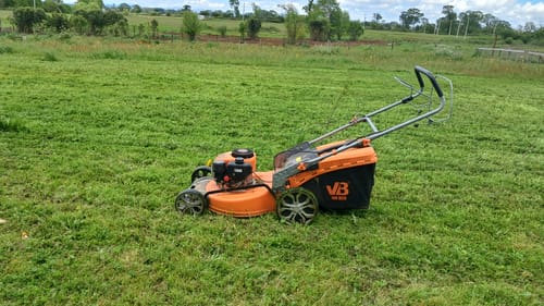 Customer photo review of Cortadora de Pasto 5.5HP Autopropulsada a Bencina van Beek
