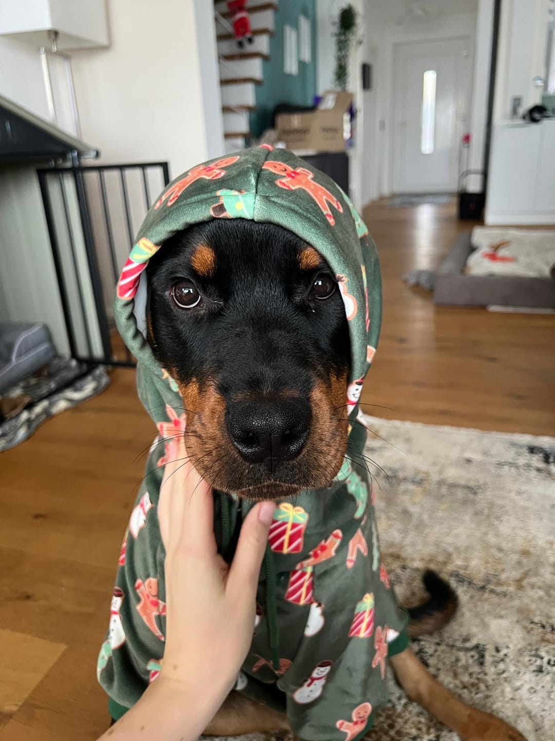 Customer photo review of Christmas Human Hoodies