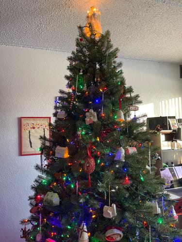 Customer photo review of Belleek Classic Annual Ornament 2025 - Giants Causeway