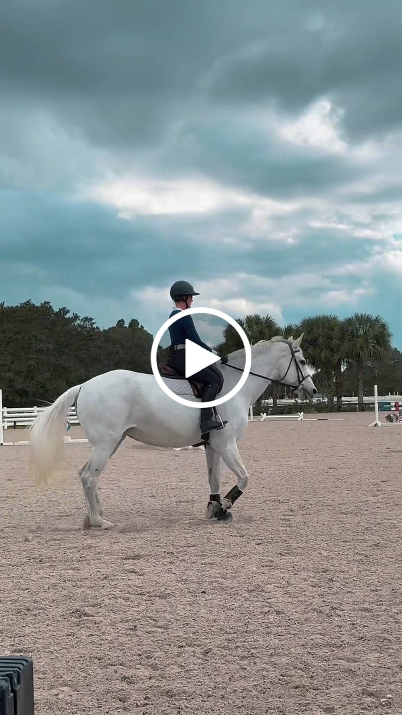Customer video review of ULTRA BREATHABLE MONOCHROMATIC LONG SLEEVE